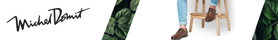 Logo MICHEL-DOMIT